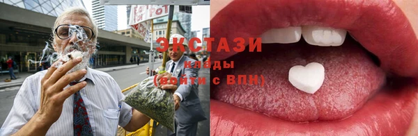индика Кинешма