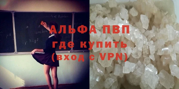 индика Кинешма