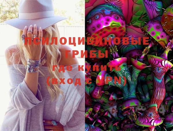 индика Кинешма