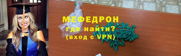 индика Кинешма
