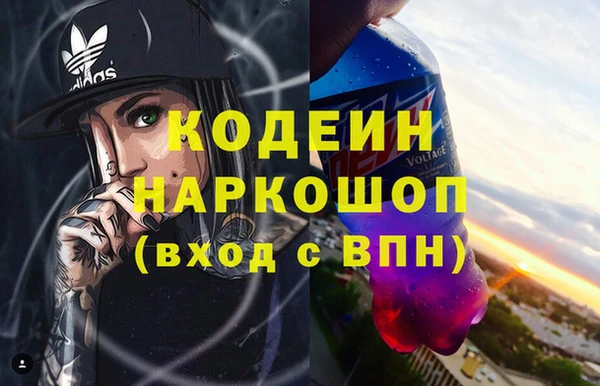 индика Кинешма