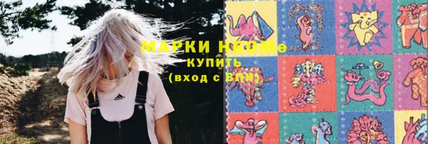 индика Кинешма