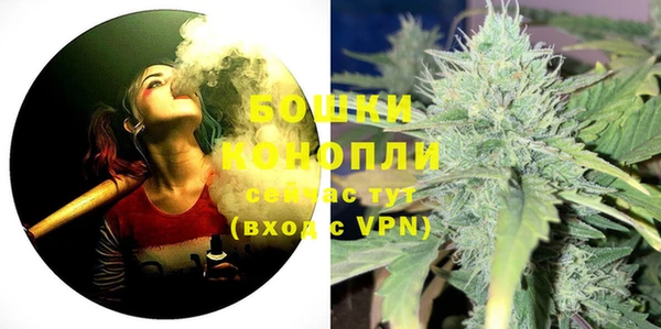 индика Кинешма