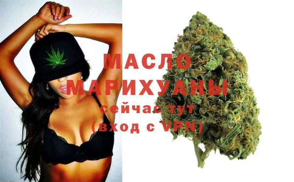 индика Кинешма