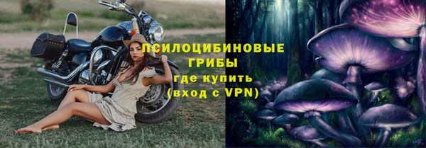прущий лед Киренск