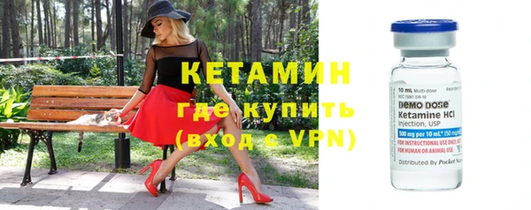 индика Кинешма