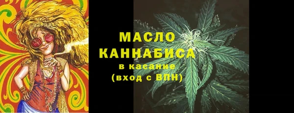 индика Кинешма