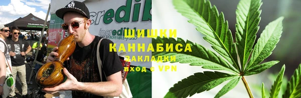 индика Кинешма