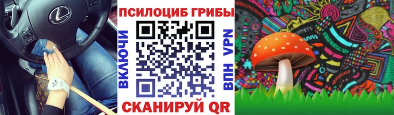 Псилоцибиновые грибы Magic Shrooms  как найти наркотики  Ачинск 